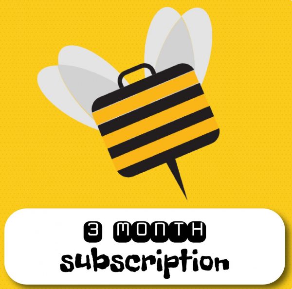 3 Month <br>subscription